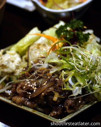 beef slices w/ teriyaki sauce