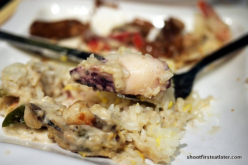 baked Norweigian salmon & seafood rice in porcini & cream sauce