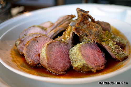 grilled baby lamb chops w/ herb