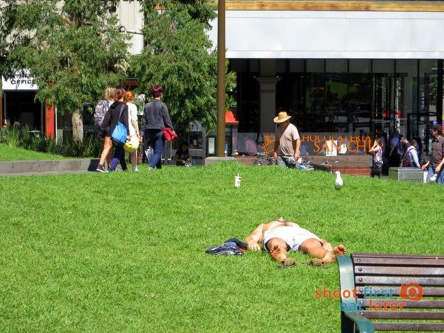 State Library of Victoria -010