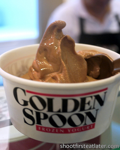 Golden Spoon Frozen Yogurt-8