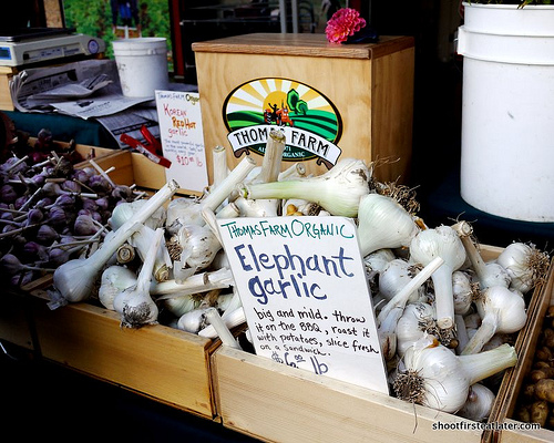 Ferry Plaza Farmers Market -4