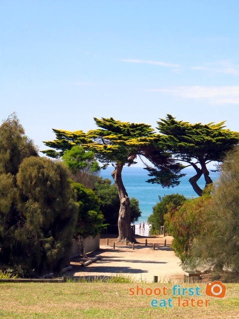 Bottle of Milk, Lorne-021