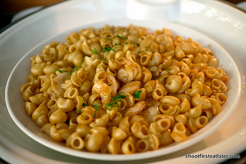 seafood shell pasta w/ lobster sauce