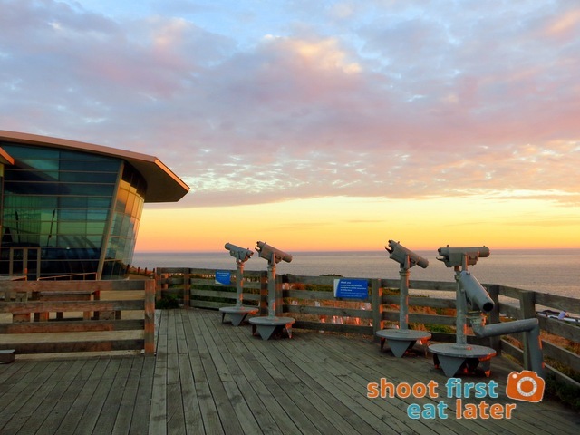 The Nobbies Boardwalk-003