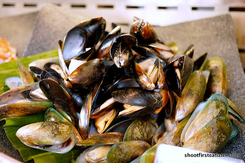mussels