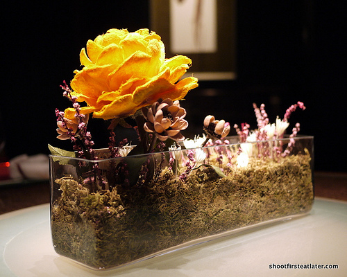 Xiao Nan Guo Premier-3