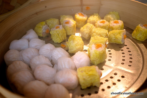 pork & shrimp dumplings 