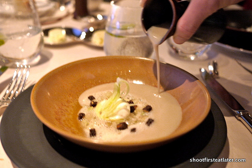 light chestnut veloute, fennel confit