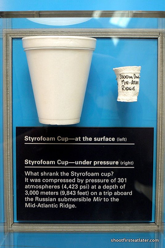 National Museum of Natural History-13