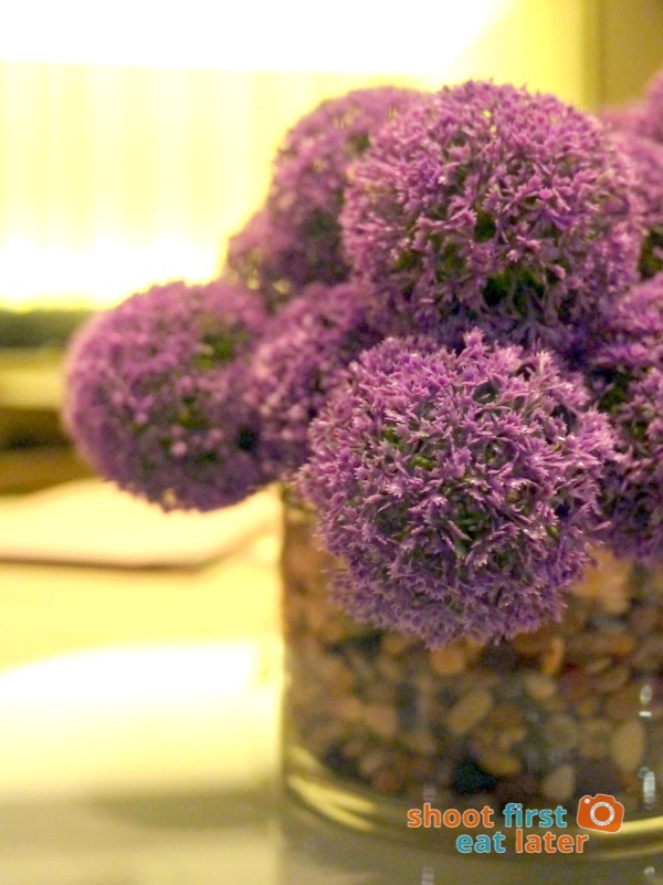 Allium Restaurant - Allium plant