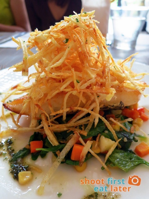 MIZUBE Seared sea bass with potato crisps, served with sautéed spinach and corn P895