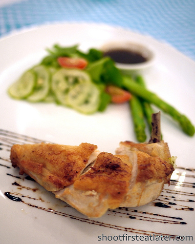 Southern Airline Chicken