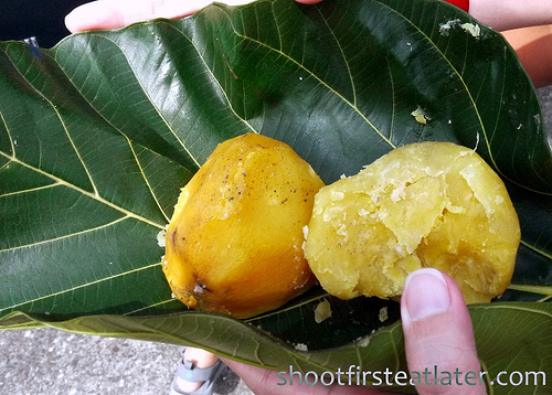 boiled sweet potato