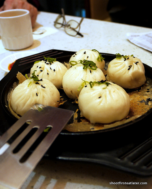 pan fried pork buns