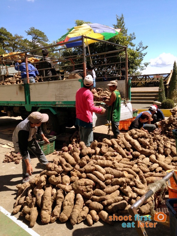 Ube (Purple Yam) delivery at Good Shepherd