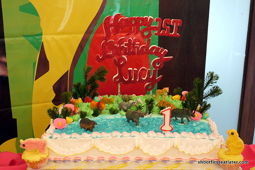 Lucy's 1st birthday at Green Meadows Clubhouse-8