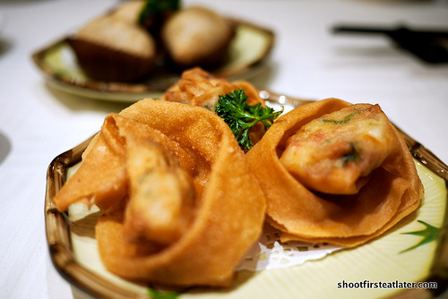 fried shrimp dumpling