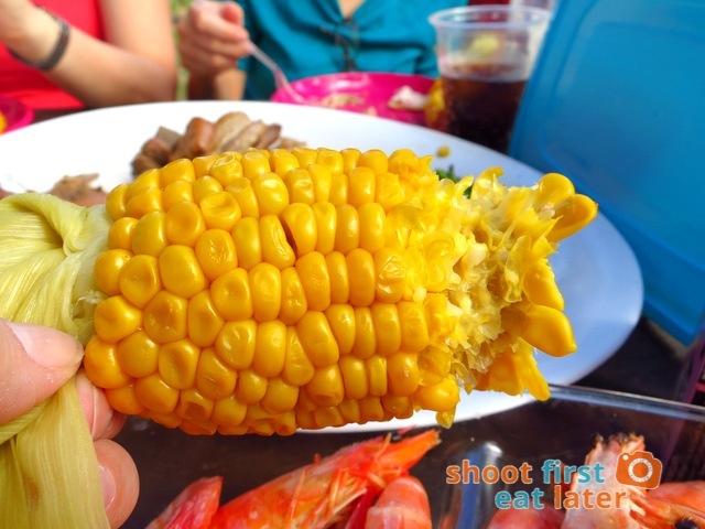 picnic at the Cowes, Phillip Island-017