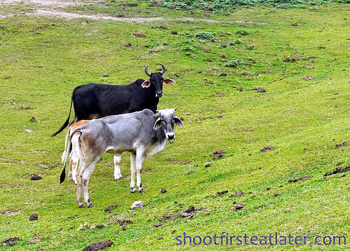 Batanes - Marlboro Country-6