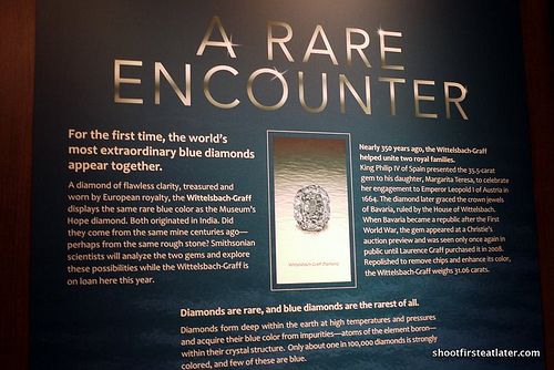 National Museum of Natural History-38