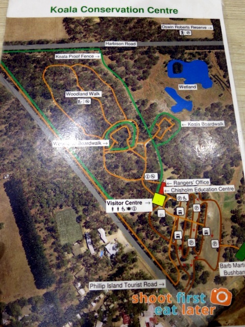 the Koala Conservation -002