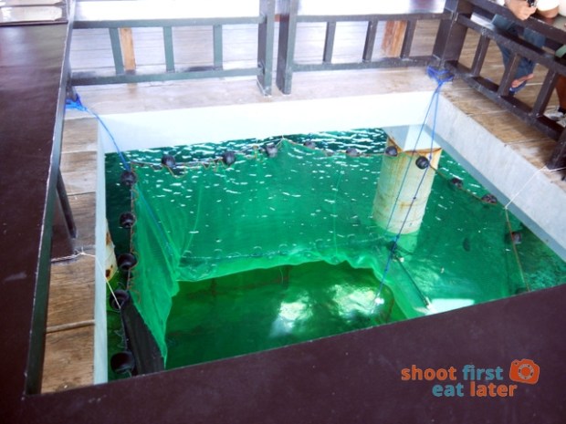 Balesin Fish Fun -006