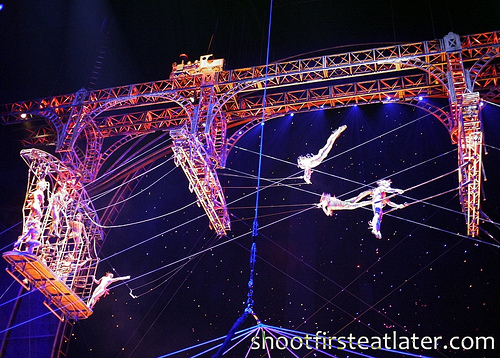Cirque Du Soleil - Zaia-17