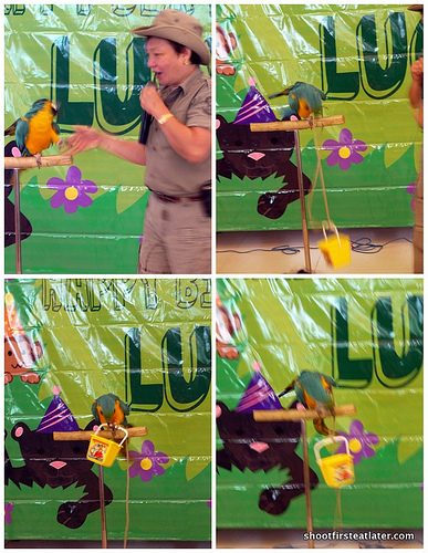 Lucy's 1st birthday at Green Meadows Clubhouse-32