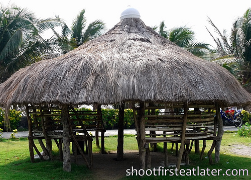 thatched hut
