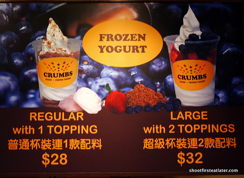 Crumbs Frozen Yogurt-6