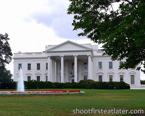 White House-1