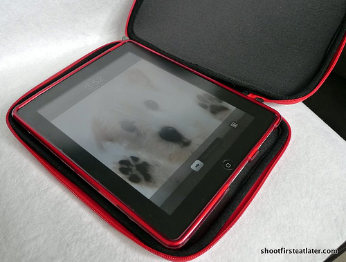 ipad cases from CDR King