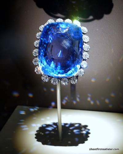 National Museum of Natural History-23