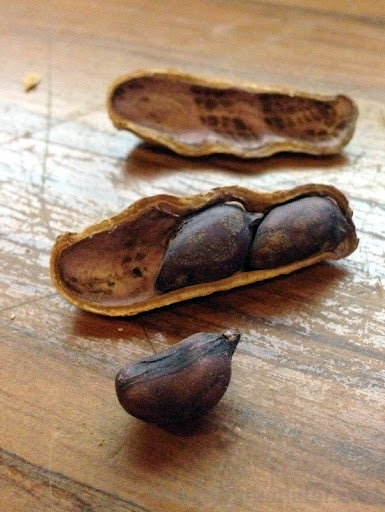 food products from Taiwan - black peanuts-002