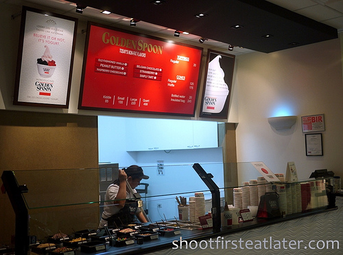 Golden Spoon Frozen Yogurt-2