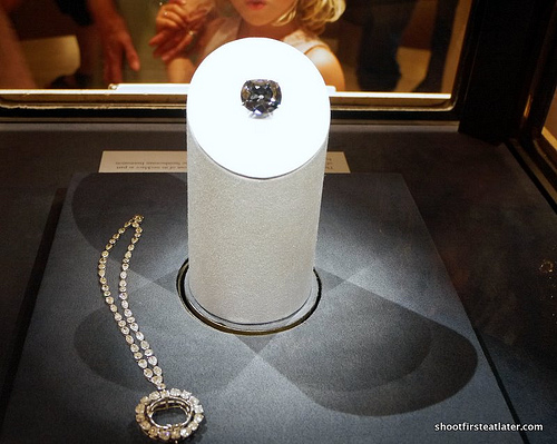 National Museum of Natural History-42