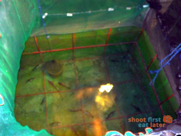 Balesin Fish Fun -010