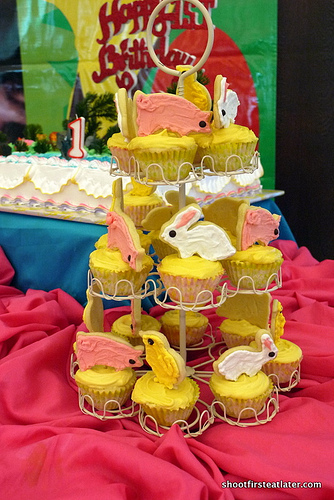 Lucy's 1st birthday at Green Meadows Clubhouse-9