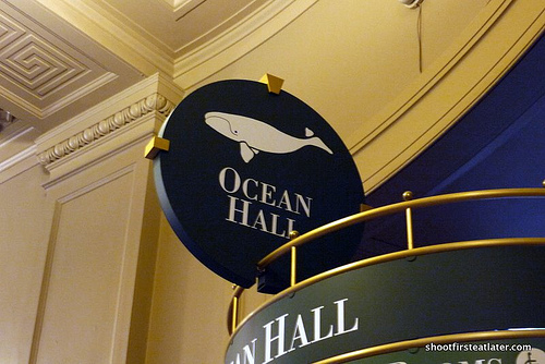 National Museum of Natural History-9