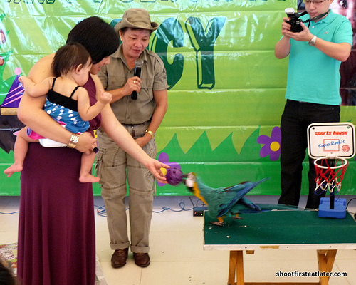 Lucy's 1st birthday at Green Meadows Clubhouse-31