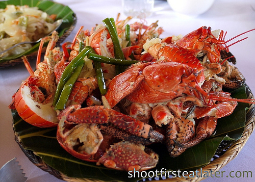 Coconut Crab and Lobster