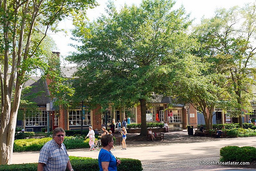 Colonial Williamsburg-35