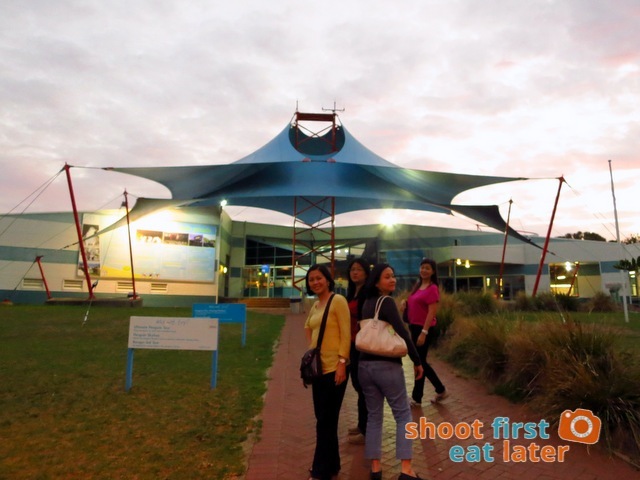 Phillip Island Penguin Parade-001