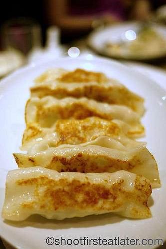 fried pork dumpling