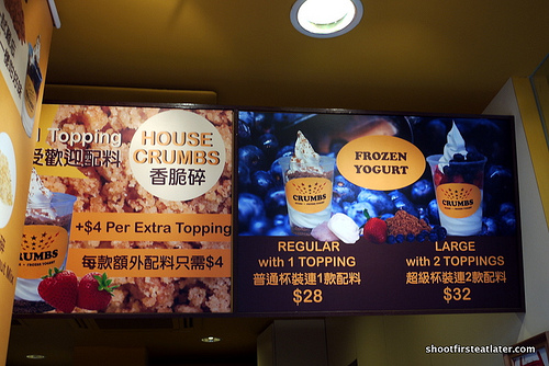 Crumbs Frozen Yogurt-1