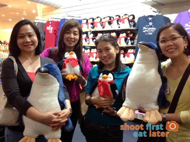 Phillip Island Penguin Parade-005